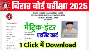 10th 12th Dummy Admit card 2025