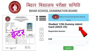 Class 12th Dummy Admit Card 2025 Download